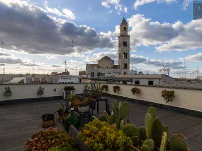 ...oltre a contemplare l�alto campanile della Cattedrale...